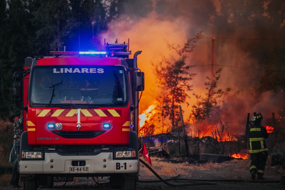 Incendiile devastatoare din Franța amenință orașe mari