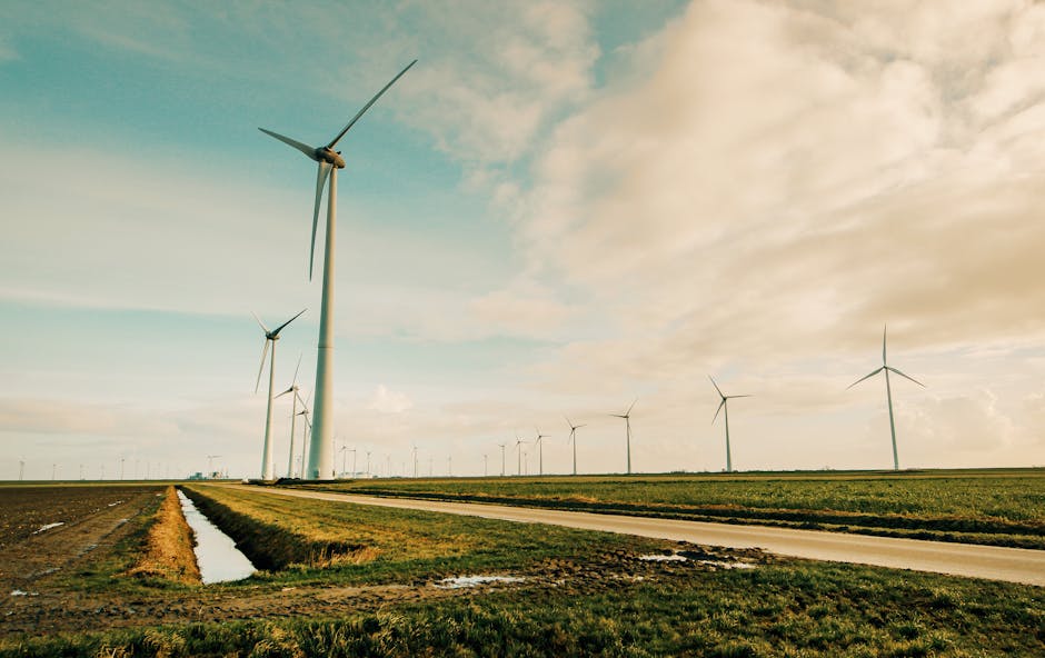 De ce românii nu beneficiază de energia verde, în ciuda potențialului uriaș?