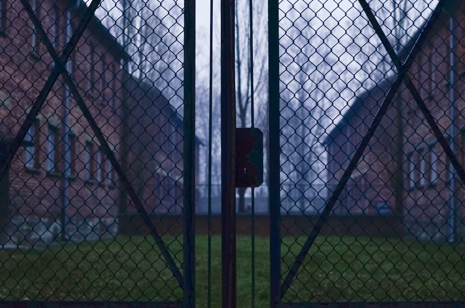 Descoperă povestea emoționantă a fetelor deportate la Auschwitz