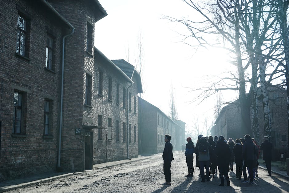 Mesajul lui Nicușor Dan cu ocazia Zilei Holocaustului Romilor: Educația ca antidot împotriva urii