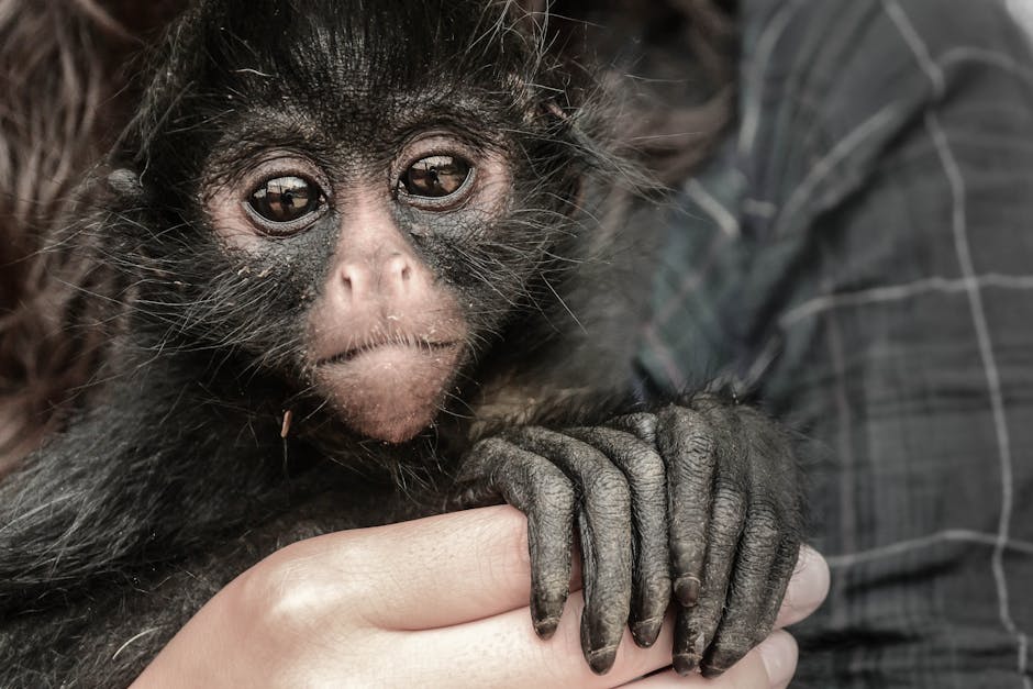 Pompierii din Călărași sărbătoresc Ziua Mondială a Animalelor prin acțiuni eroice