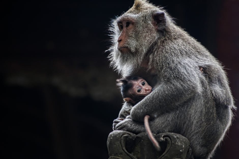 Copiii din Tulcea învață despre protecția animalelor de Ziua Mondială a Animalelor