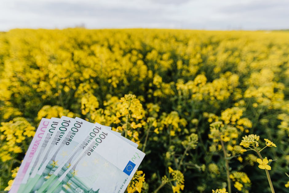 Bihorul domină cererile de fonduri europene prin DR-14: fermierii au timp până în 2026