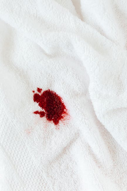 Descoperă puterea sării: cum să îndepărtezi petele de pe haine fără efort