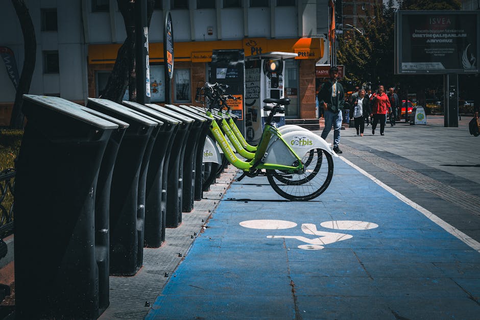 Harghita se alătură mișcării verzi: transport gratuit și activități pentru toți