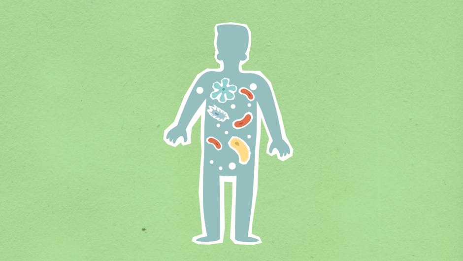 Inovație în sănătate: MedLife introduce primul test de microbiom intestinal realizat în România