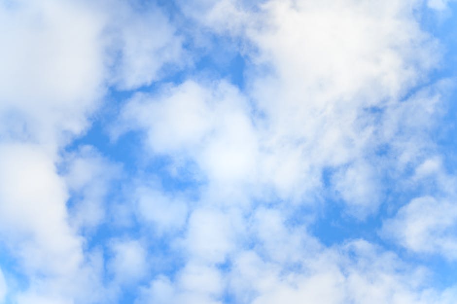 Descoperă prognoza meteo: vreme mai caldă pentru Satu Mare!