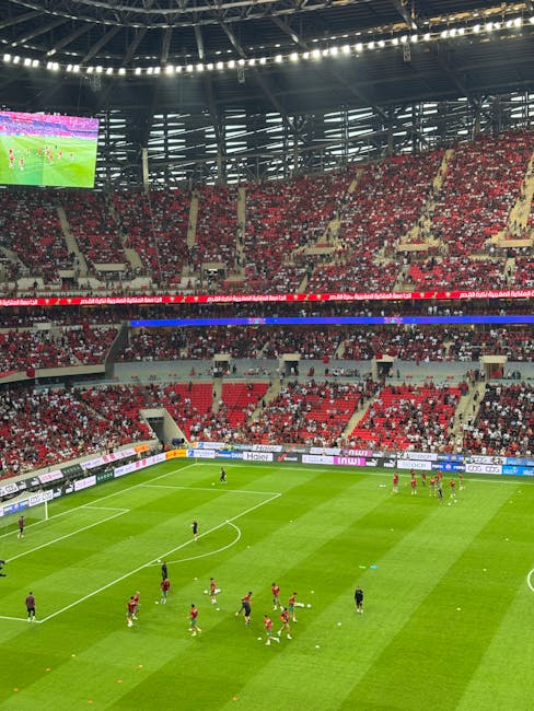 CFR Cluj revine de la 0-1 și se apropie de play-off grație lui Louis Munteanu