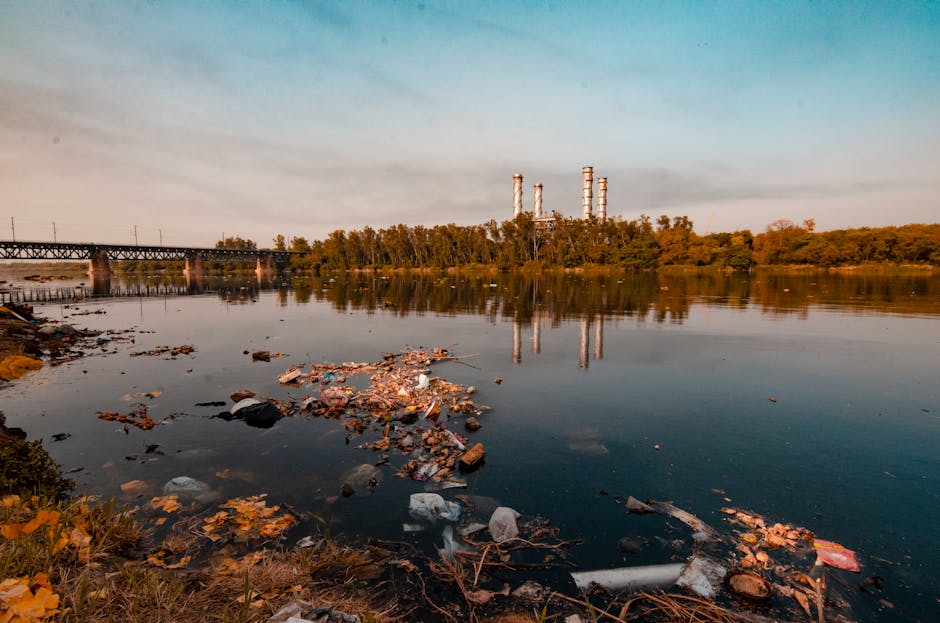 Pârâul Dâmbu: o criză ecologică alarmantă în Ploiești