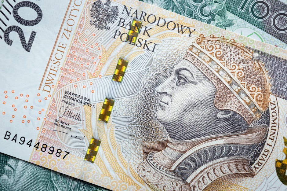 Controversie în energie: directorul CE Oltenia obligat să restituie aproape 580.000 de lei