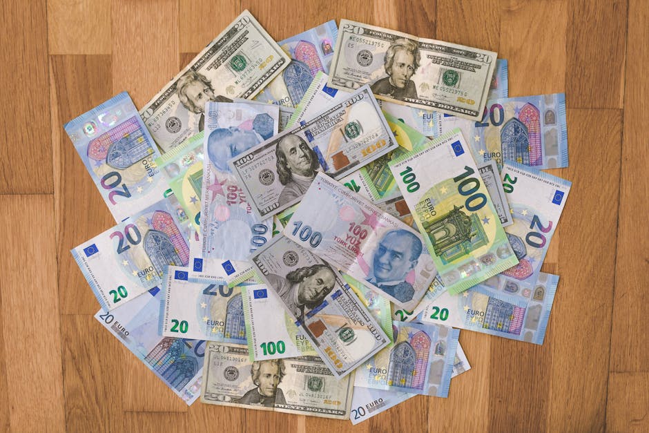 Transformări economice surprinzătoare în Maramureș: investiții chinezești și turcești