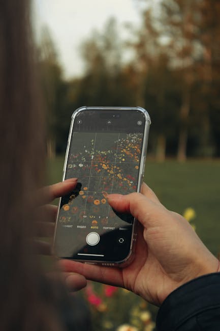 Transformă-ți fotografiile de toamnă cu smartphone-ul: trucuri esențiale