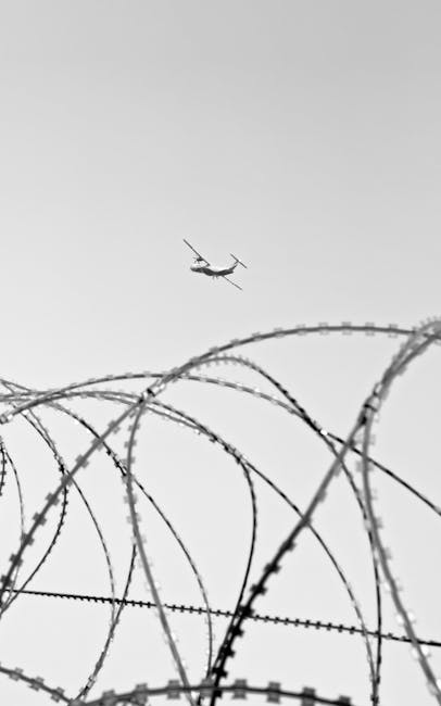 Guvernul României investește în drone pentru securizarea frontierelor