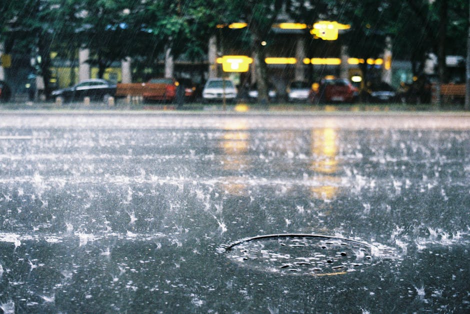 Prognoza meteo: precipitații abundente în sudul României până în noiembrie