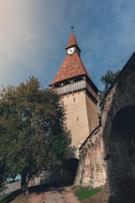 Descoperire istorică în Turnul Sfatului din Sibiu: o capsulă a timpului în stare fragilă