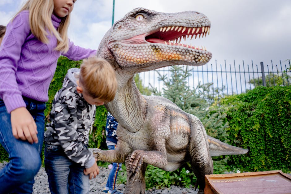 Destiny Park Iași: un nou centru educațional și de divertisment pentru copii în inima orașului