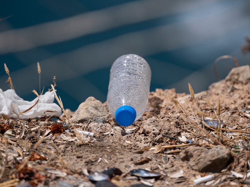 Impactul microplasticelor asupra apei îmbuteliată: ce măsuri putem lua?