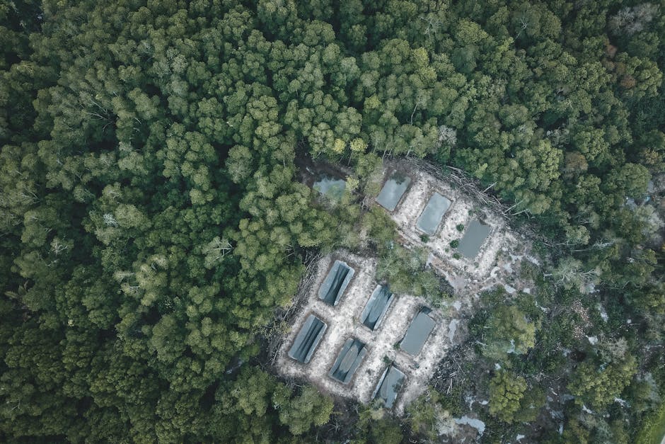 Strategii esențiale pentru conservarea biodiversității în Săcueni și Lacul Cicoș