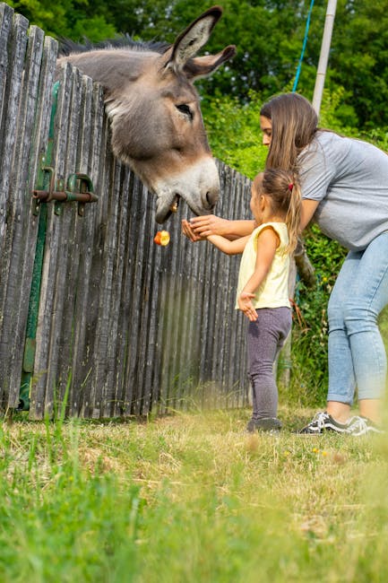 De ce George Clooney a ales să trăiască pe o fermă în Franța cu familia sa