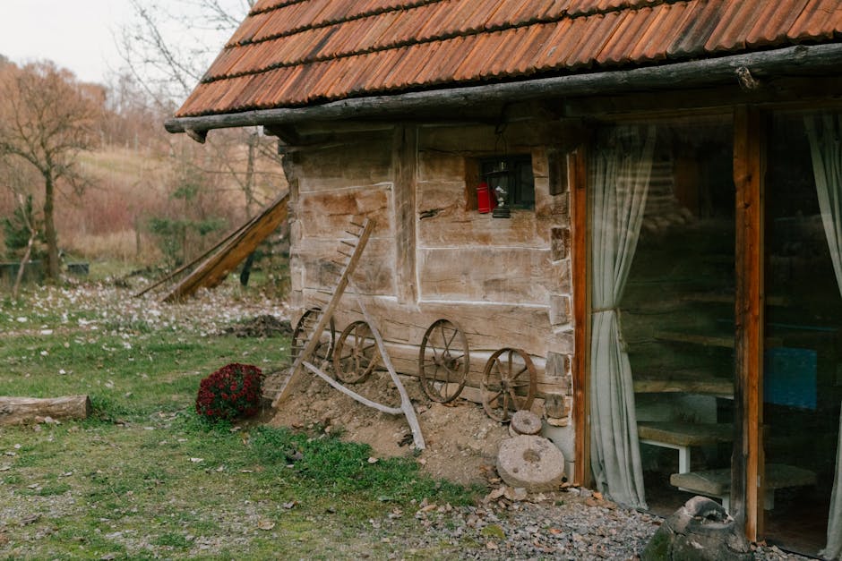 Petrecere grandioasă pentru aniversarea a doi ani ai școlii de dans popular din Buzău