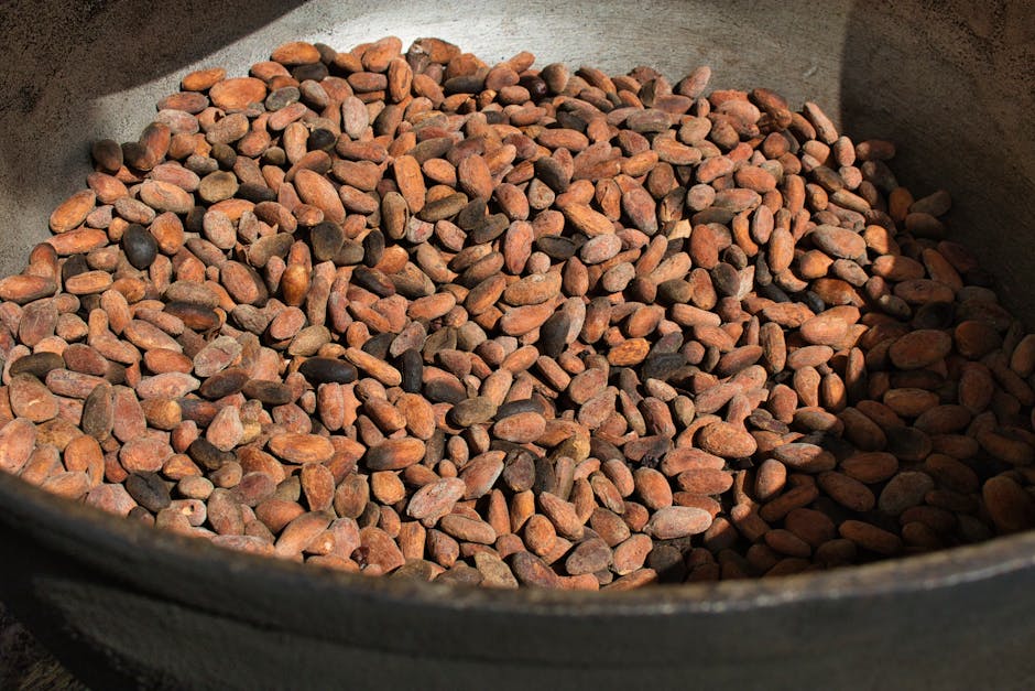 Prețul cacao se află într-o turbulență: ce înseamnă pentru piață?