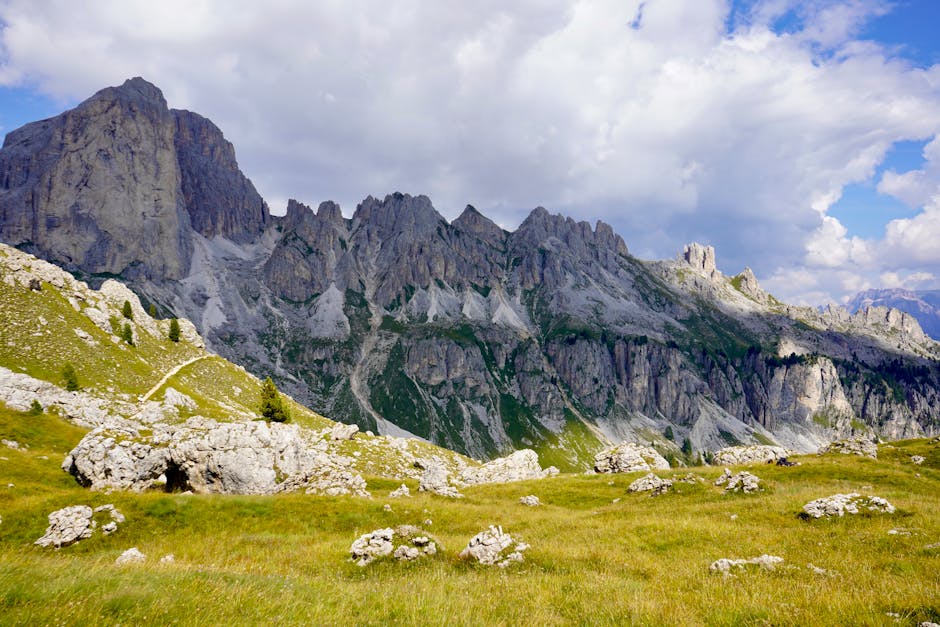 Descoperă frumusețea geodiversității: drumeție pe Vârful Igniș