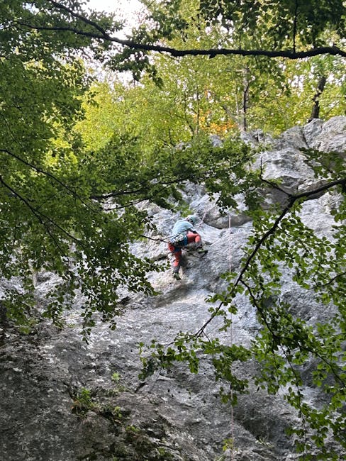 Cutremur surprinzător în Transilvania: ce trebuie să știe locuitorii