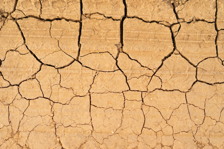 Temperaturi ridicate până în septembrie: când ne așteptăm la ploi?