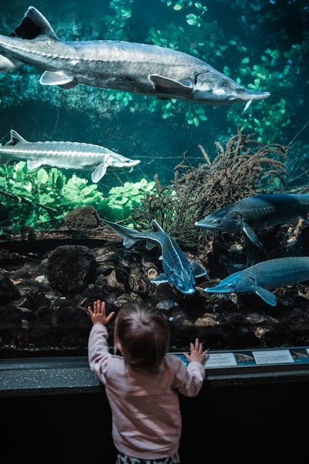 Explorează lumea dinozaurilor și a monștrilor marini la Iulius Mall Cluj!