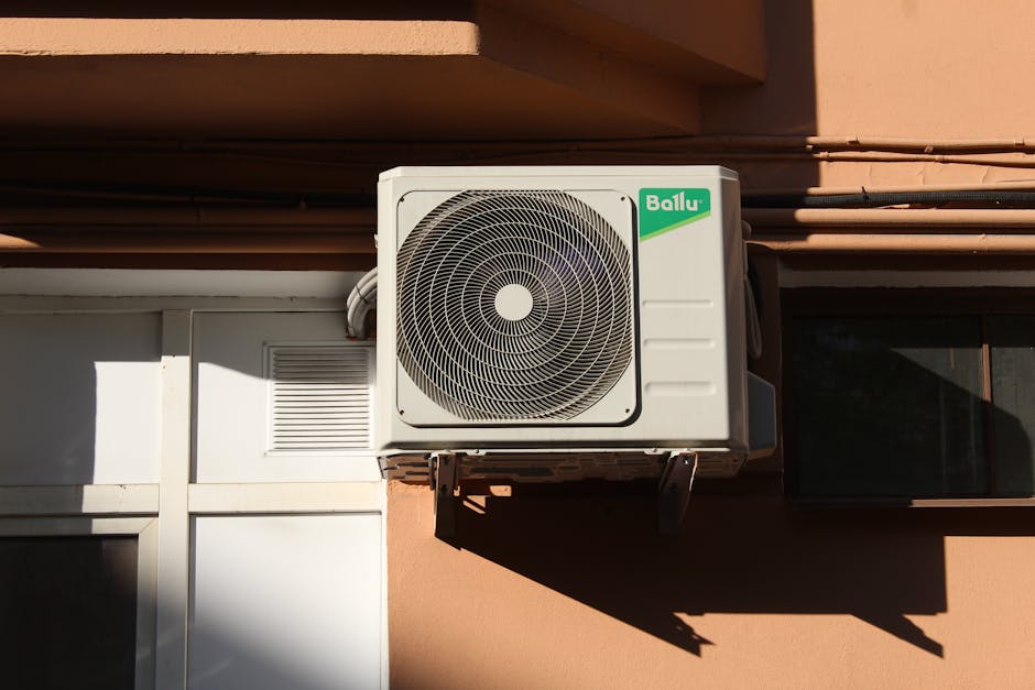 Cum să îți răcorești casa fără cheltuieli mari în zilele caniculare