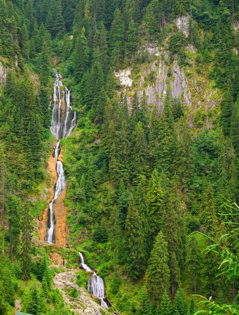 25 de ani de siguranță montană: Jandarmeria Montană își sărbătorește aniversarea