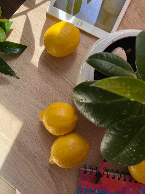 Cum să cultivați lămâi acasă: ghid pentru arborii fructiferi