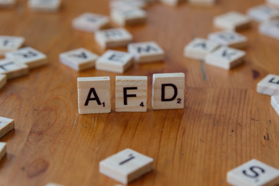 Cine a câștigat alegerile din Frankfurt an der Oder și ce înseamnă pentru AfD