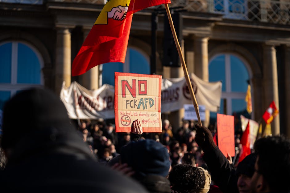 Controversă în Germania: AfD acuză pe cancelarul Merz de afirmații defăimătoare
