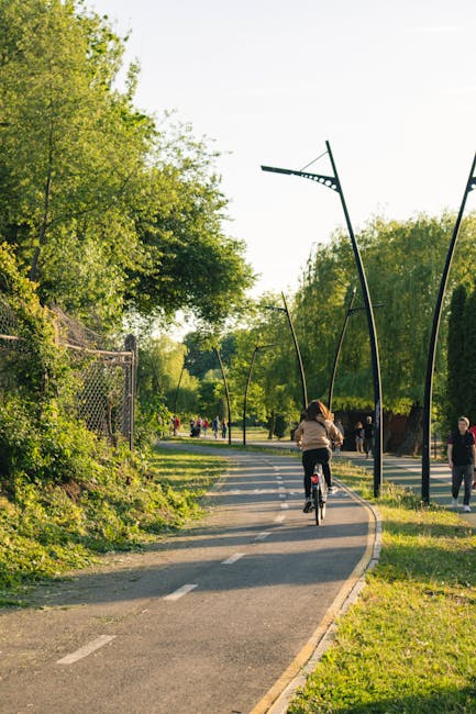Investiție majoră în Cluj-Napoca: Parcul Rozelor se transformă într-un spațiu verde de vis
