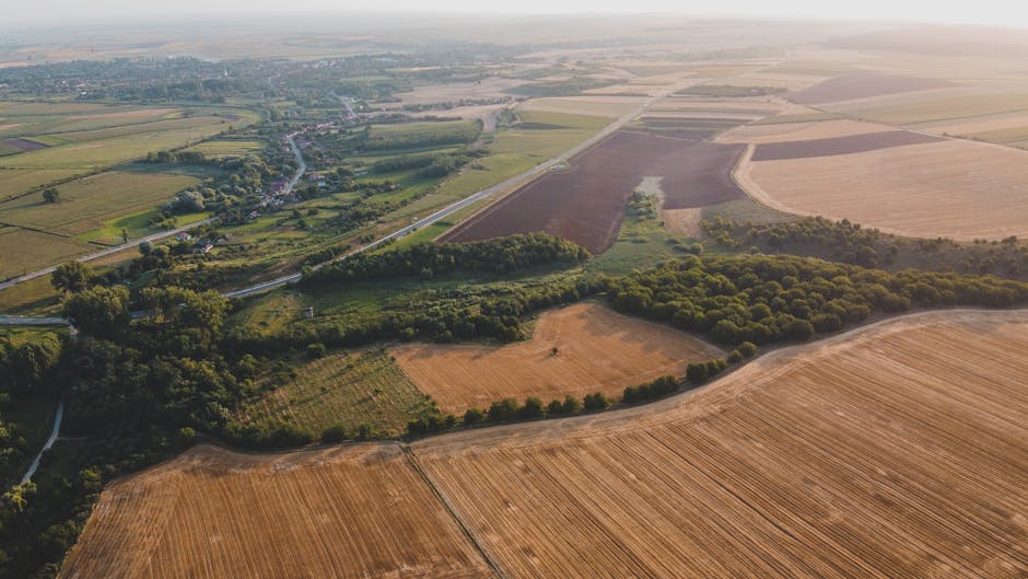 Înalți funcționari din agricultură, acuzați de abuzuri și foloase necuvenite