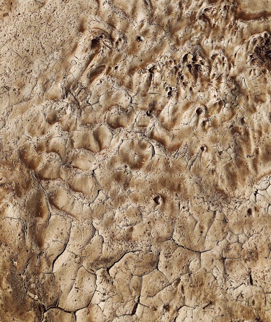 Descoperire uimitoare: Pământul are un mecanism de reglare climatologică naturală
