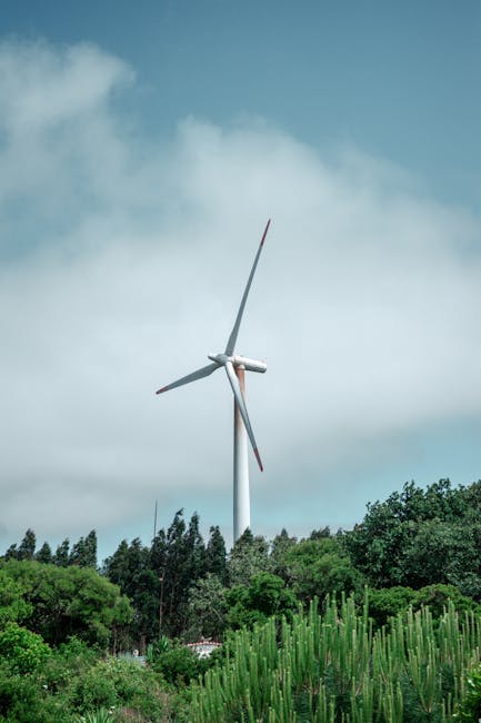 Apple investește în România: un parc eolian de 99 MW în Galați