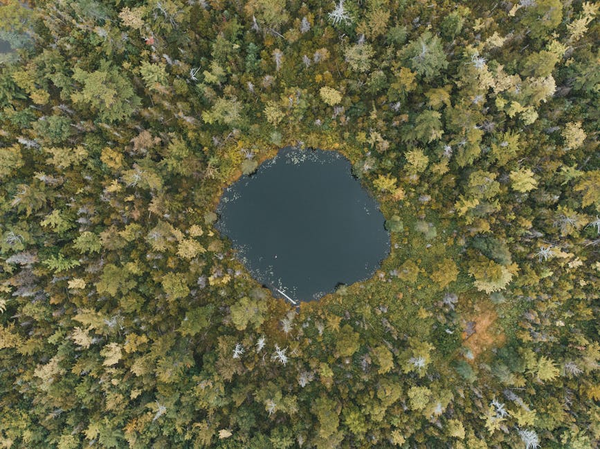 Lacul de Smarald: potențialul ascuns al unei noi destinații turistice în Satu Mare