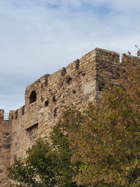 Restaurarea Casei Iancu de Hunedoara: un pas important pentru patrimoniul Baia Mare