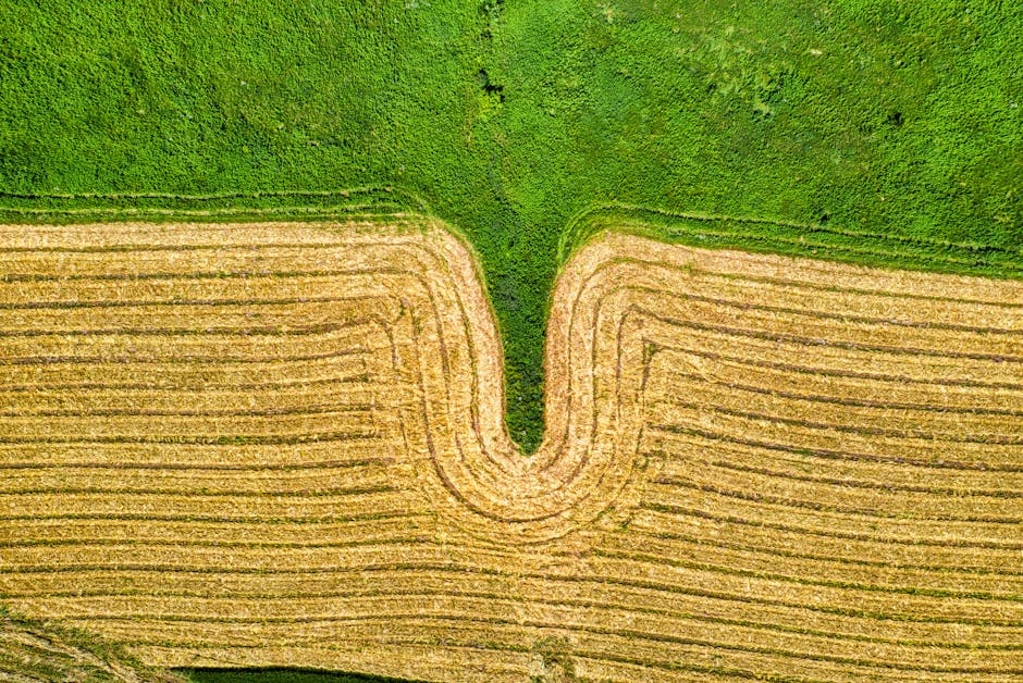 APIA finalizează verificările pentru campania agricolă 2025