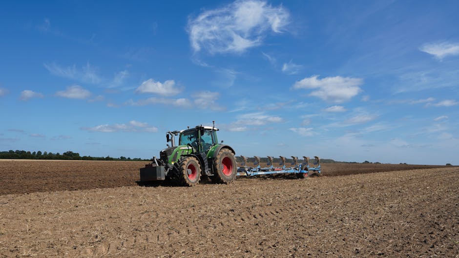 Pregătiți pentru o toamnă timpurie: strategii esențiale pentru agricultori