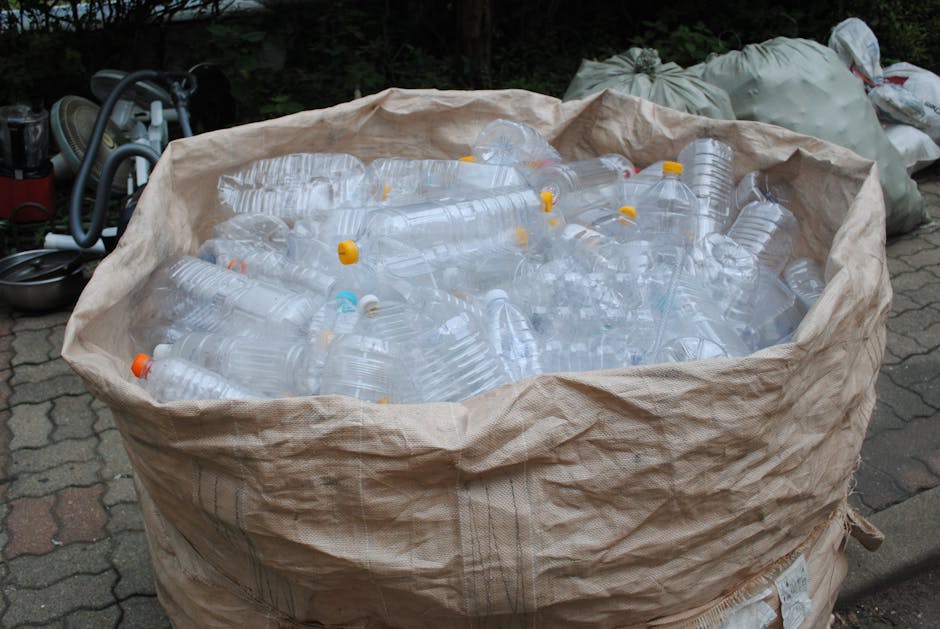 România își ia la revedere de la plasticul de unică folosință: ce schimbări majore vin în magazine
