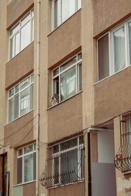Craiovenii vor avea restricții privind numărul de câini și pisici în apartamente