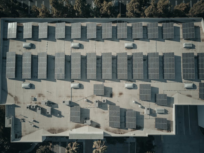 Solidaritatea sindicală: cheia succesului în sectorul energetic din România