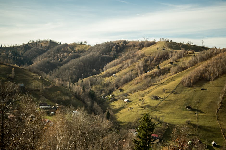 Redeschiderea Restaurantului Panoramic de pe Tâmpa: un festin de toamnă în Brașov