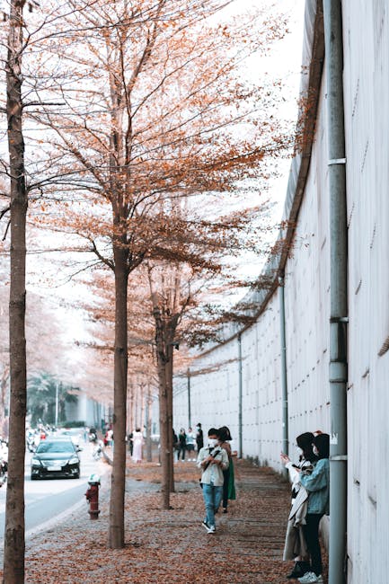 Weekend special în Constanța: Bulevardul Tomis devine zonă pietonală