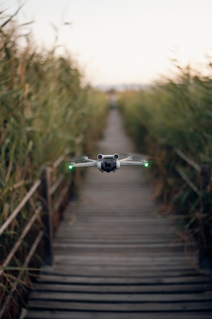 Revoluția dronelor inteligente: cum protejează culturile agricole de animalele sălbatice