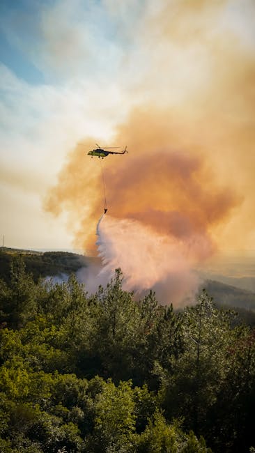 Incendiu devastator amenință Băile Herculane: sute de hectare de pădure distruse