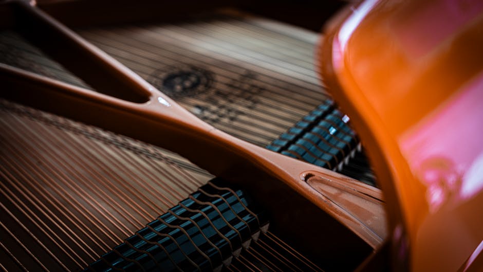 Un concert spectaculos la Reghin: Violoncellissimo aduce magia muzicii